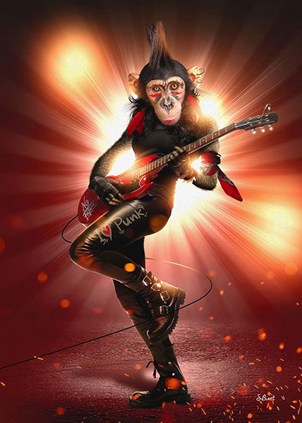 Monkey Punk